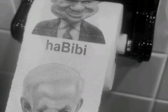 toilet6